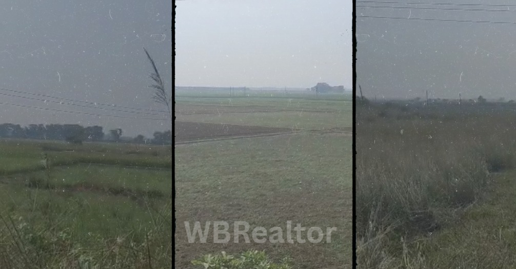 40 Bigha Land For Sale In Mayapur